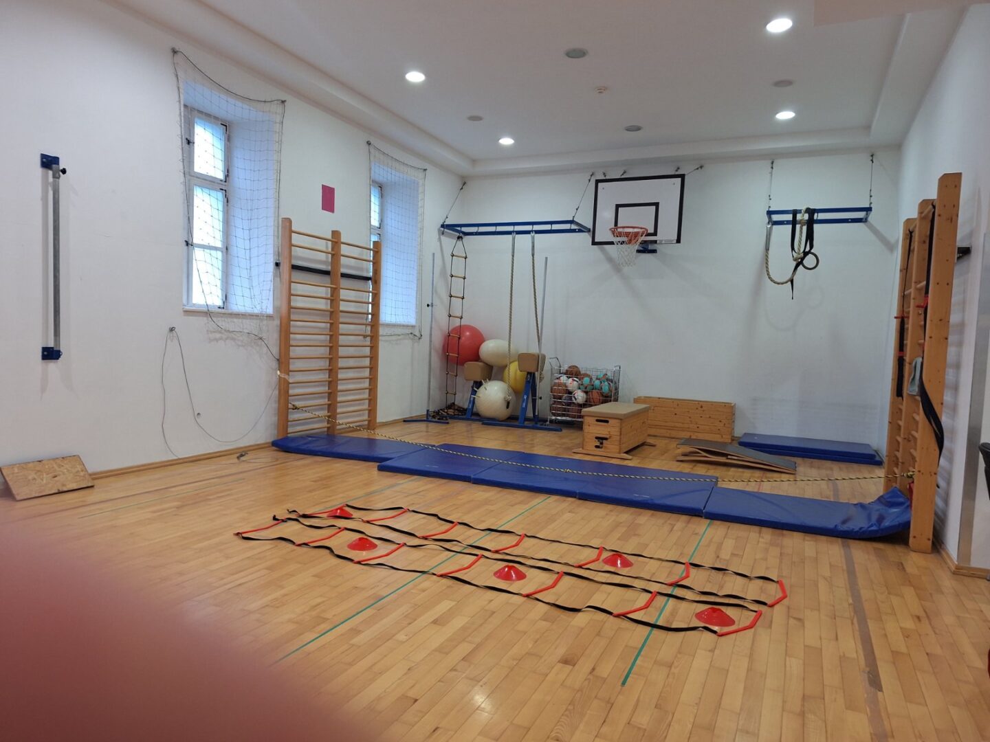 English Day 2026, Ninja Warrior 6