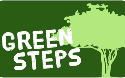 DISEMINACIJA eTwinning PROJEKTA „ŽIVIMO ZELENIJE I ODRŽIVIJE – GREEN STEPS“