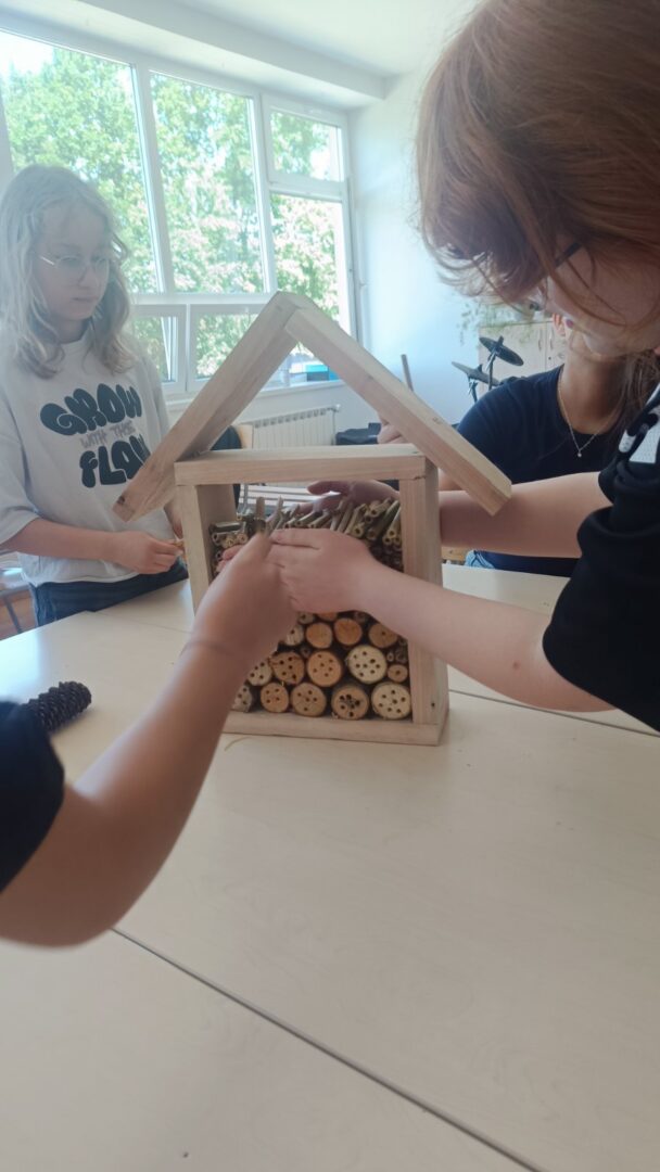 stem6