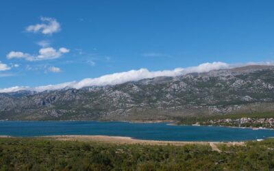 Likovni natječaj : Čudesni svijet Velebita (velebitska degenija)